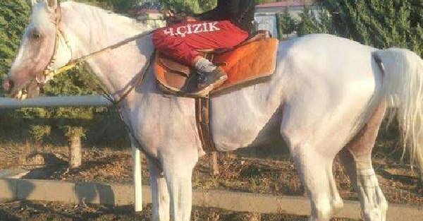Atı bayıltıncaya kadar kamçılayan jokeye ceza - ek fotoğraf