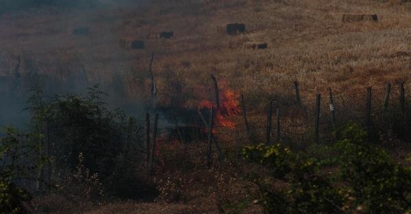 Bayramiç'te tarım arazisinde yangın