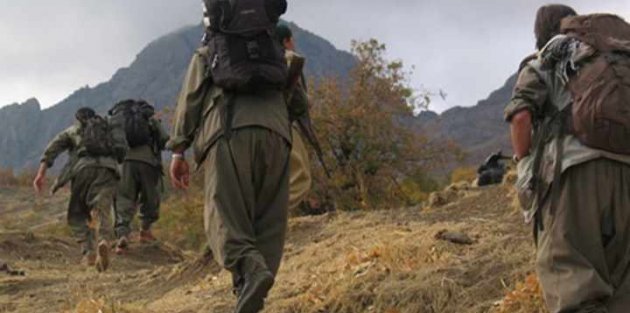 BDP ilçe başkanı PKK'YA 3 çocuk götürüp teslim etmiş