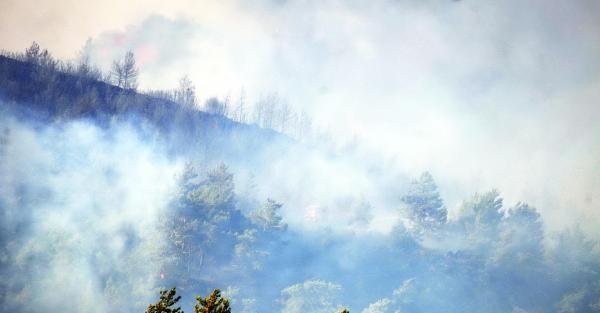 Bodrum Ve Milas'ta Anız Yangını Ormana Sıçradı