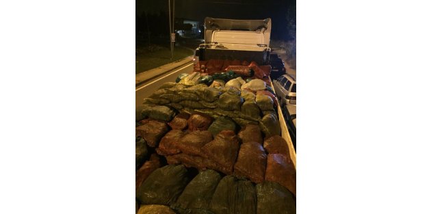 Bursa’da kaçak avlanan 10 ton midye ele geçirildi