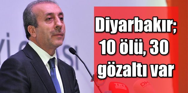 Diyarbakır'da 30 gözaltı var