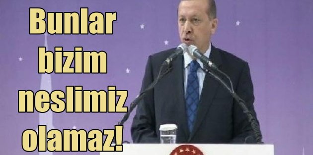 Erdoğan: Bunlar bizim neslimiz olamaz, bu milletin evladı olamaz