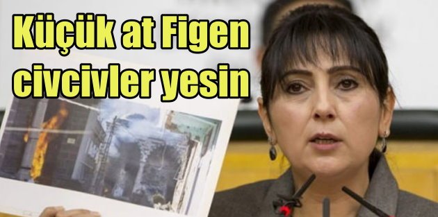 Figen'nin PKK aşkı; Yalan söylemekten çekinmedi