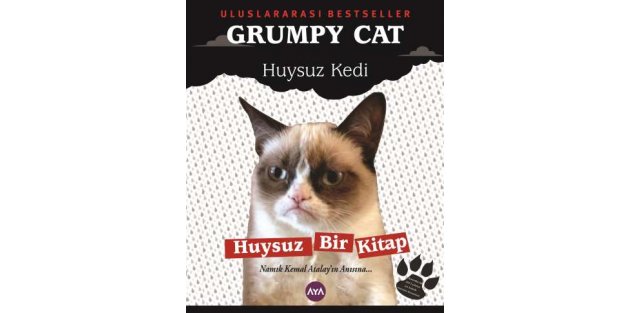 Grumpy Cat (Huysuz Kedi) Türk Okuruyla Buluşuyor