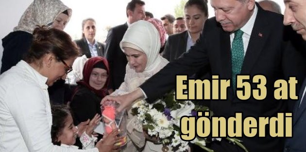 Katar Emir'i Erdoğan'a 53 at gönderdi