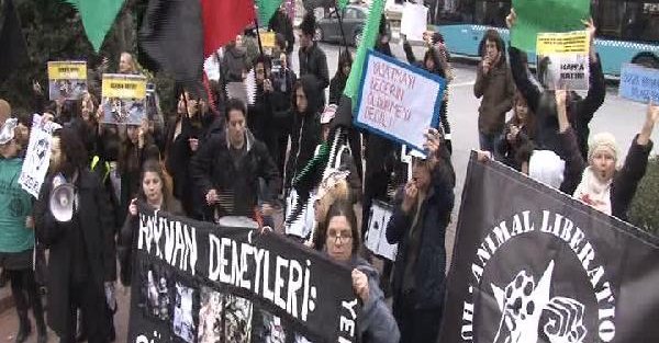 'Köpek Nüfusu Yönetimi' konferansı protesto edildi