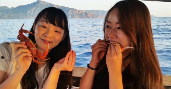 Koreli Turist, Mavi Yengecin Tadını Unutamadı