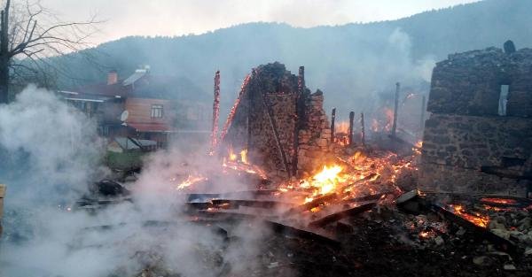 Köyde yangın: 5 ev, 1 samanlık ve 2 otomobil yandı