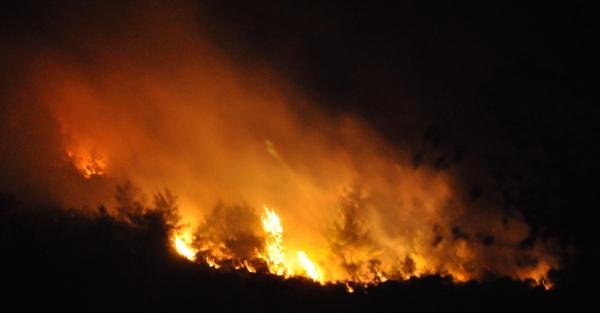Kozan'da 3 Hektarlık Orman Alanı Yandı