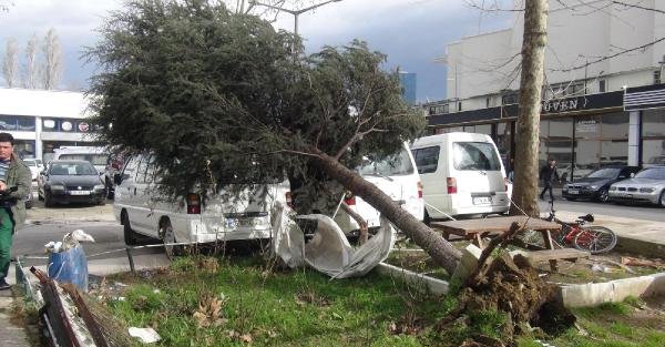 Lodos Bursa'da çatı uçurdu ağaç devirdi (2)