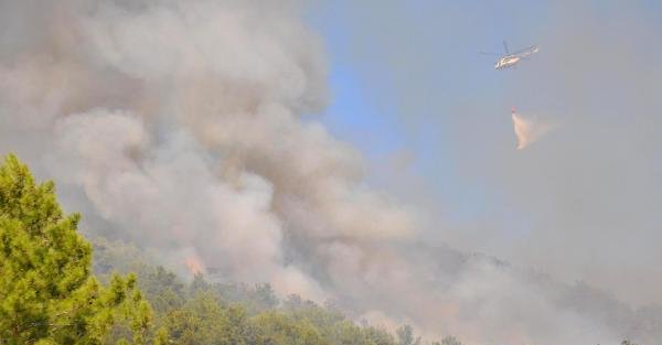Manavgat'ta orman yangını (2) -  yeniden