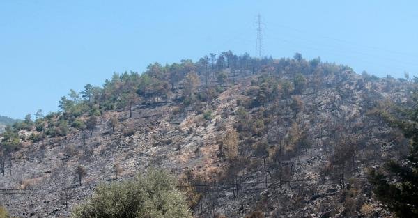 Mersin'de 100 hektar ormanlık alan yandı