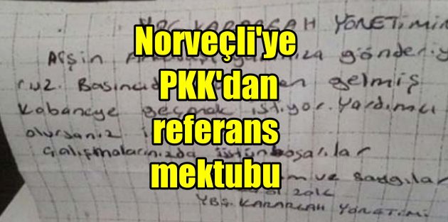 Norveçli gazeteci PKK'dan referans almış