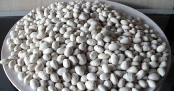 Organik Akkuş şeker fasulyesi kilosu 25 liradan satılıyor