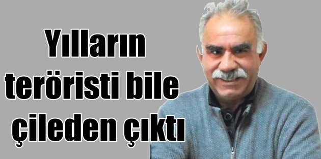 PKK'lı katiller, yılların teröristi Öcalan'ı bile çileden çıkardı
