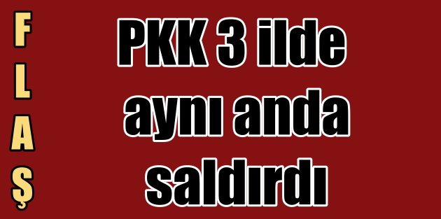 PKK'lı teröristler 3 ilde aynı anda saldırdı