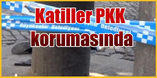 PKK'lı teröristler, Elçi'nin katillerini Kanas'la korumuş