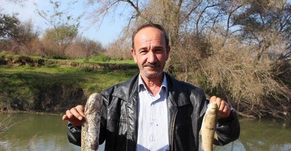 Simav Çayinda Toplu Balık Ölümleri Korkutuyor