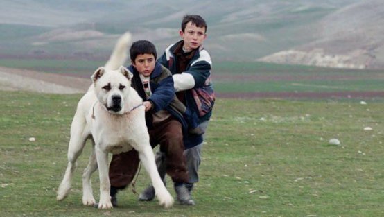 'Sivas' filmi hız kesmeden başarıya koşuyor
