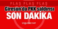 Giresun'da PKK saldırısı; Giresun ve Gümüşhane'de operasyon