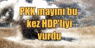 PKK mayını HDP'li başkanı vurdu