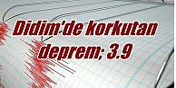 Didim'de deprem, Didim 3.9 ile sallandı