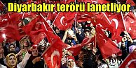 Diyarbakır şehitler için yürüyor; Sadece Türk bayrağı taşınacak