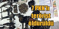 Tunceli'de operasyon; 7 terörist öldürüldü