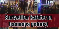 Suriyeliler toplanıp Konya'da kafeterya basmaya gelmiş