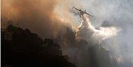 Fransa orman yangınlarıyla boğuşuyor