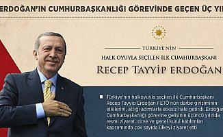 Cumhurbaşkanı Erdoğan'ın görevdeki 'üçüncü' yılı
