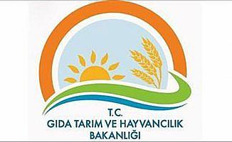 Tunceli'de genç çiftçilere 8 milyon 340 bin liralık destek