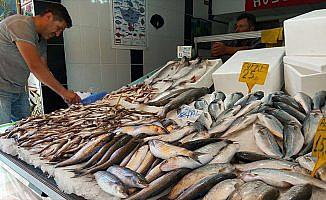 Av yasağı sona erdi balık fiyatları düştü