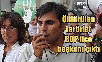 Hakkari'de öldürülen PKK'lı BDP İlçe Başkanlığı yapmış
