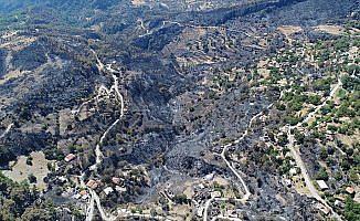 Orman yangınında zarar gören alanlar havadan görüntülendi