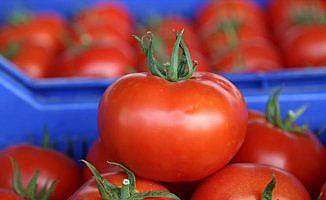 Rus heyet domates ihracatını görüşmeye geliyor
