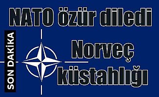 Norveç küstahlığına NATO'dan özür geldi