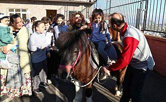 At binmeye gelemeyen çocuklara atları götürüyor