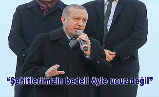 Cumhurbaşkanı Erdoğan: Şehitlerimizin bedeli öyle ucuz değil