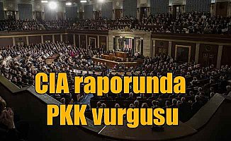 ABD istihbarat raporu: YPG, PKK'nın Suriye'deki milis gücü