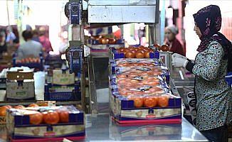 Rusya'dan 2 Türk şirkete daha domates ithalatı izni
