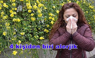 Türkiye'de 4 kişiden biri alerjik