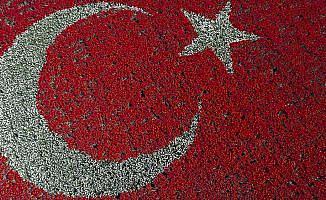 Laleden Türk bayrağı dünya rekoru getirdi