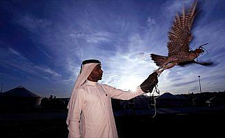 Katar'ın kanat çırpan çocukları: Şahinler