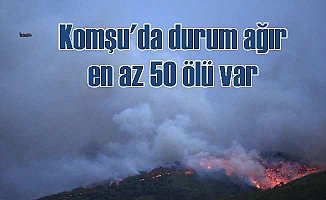 Yunanistan'da orman yangını sürüyor, 50 kişi can verdi