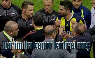 Galatasaray Fenerbahçe derbisi; Fatih Terim hakeme küfretmiş