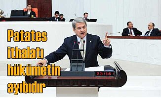Aytun Çıray: Patates ithalatı AKP'nin ayıbıdır