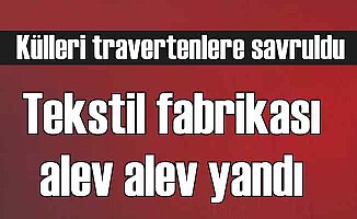 Denizli'de tekstil fabrikası yangın; Küller Pamukkale'yi vurdu