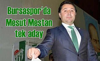 Bursaspor'da Mesut Mestan tek aday